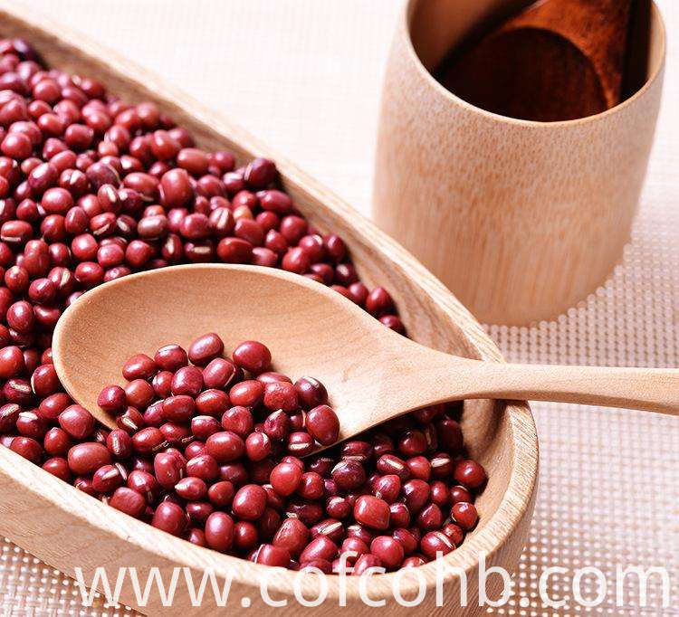 Healthy Small Red Beans Healthy Small Red Beans